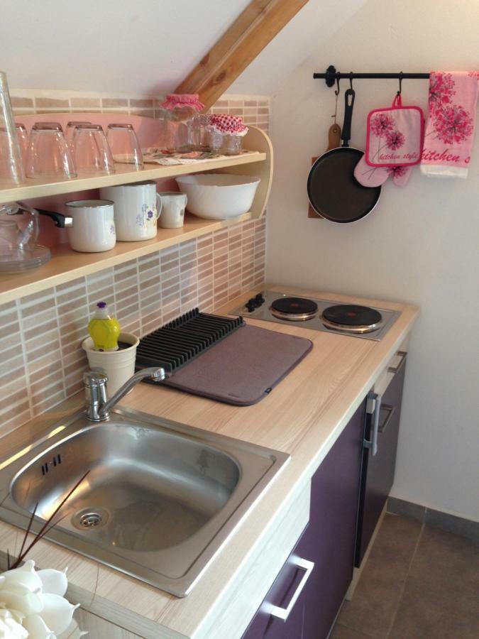 Zelin Mrzlovodicki Apartments Vjeverica מראה חיצוני תמונה